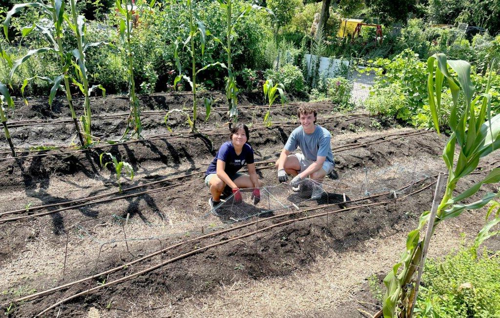 Students working at Battery Urban Farm